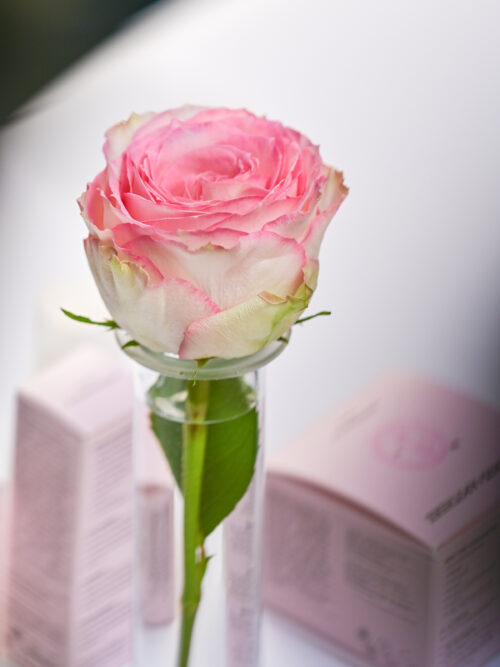 © Rathaus Apotheke Hamburg