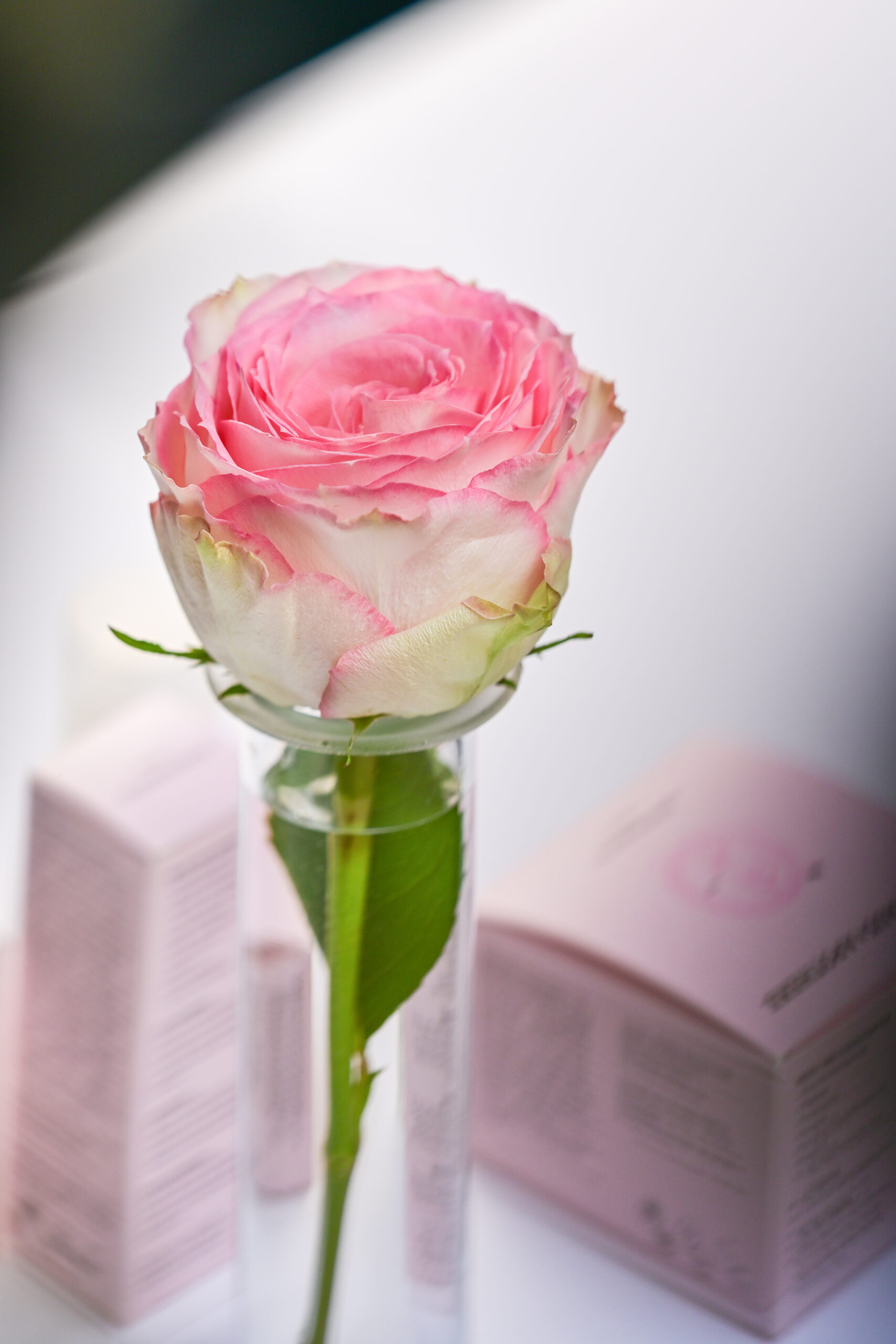 © Rathaus Apotheke Hamburg